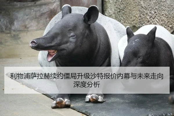 利物浦萨拉赫续约僵局升级沙特报价内幕与未来走向深度分析
